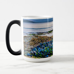 Mug Magic Moules