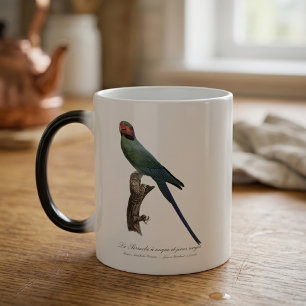 Mug Magic Perruche à longue queue, Psittacula Longicauda