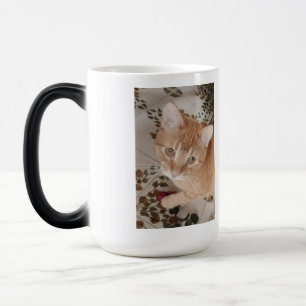 Mug Magic Photo de chaton roux, meilleur thérapeute, 