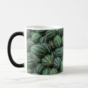 Mug Magic Photo de Cucamelon frais vert rayé, fruit mexicain
