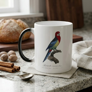 Mug Magic Rosella orientale ou Perruche à tête pâle Platycer