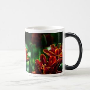 Mug Magic Tulipe rouge - Sa Majesté le roi