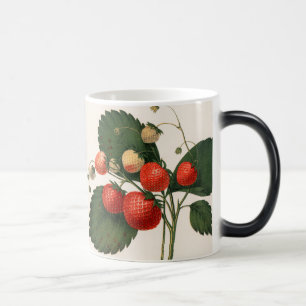 Mug Magic Vintage Boston Pine Strawberry