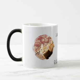 Mug Magic Vous jugeant rapidement, Photo de chat, Humour