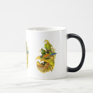 Mug Magique Broadbill Long-coupé la queue