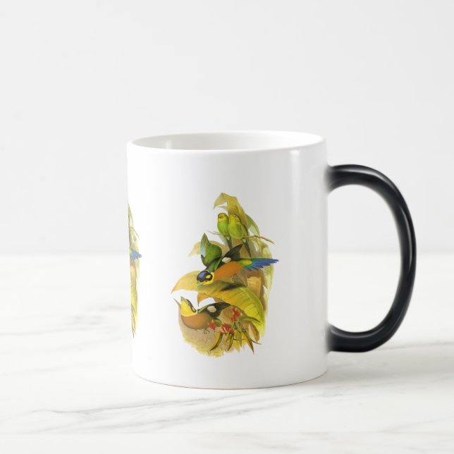 Mug Magique Broadbill Long-coupé la queue (Droite)