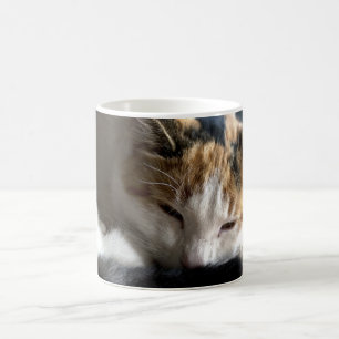 Mug Magique Chat Calico