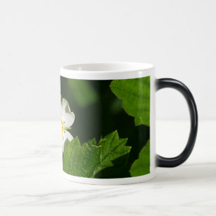 Mug Magique Fleur de fraises sauvages