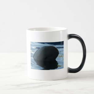 Mug Magique Irrawaddy Dolphin Peek-A-Boo
