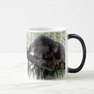 Mug Magique Koala câlin