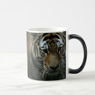 Mug Magique L'oeil du tigre