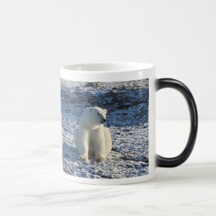 Mug Magique Ours blanc arctique, froid arctique