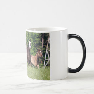 Mug Magique Quelques chevaux dans l'herbe verte