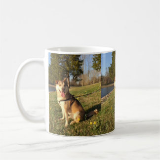 Mug Malamute d'Alaska