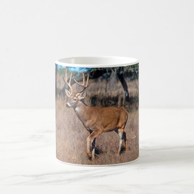 Mug Mâle de cerfs communs (Centre)