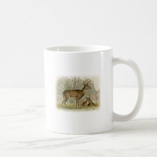 Mug Mâle de cerfs communs de queue blanche - daine