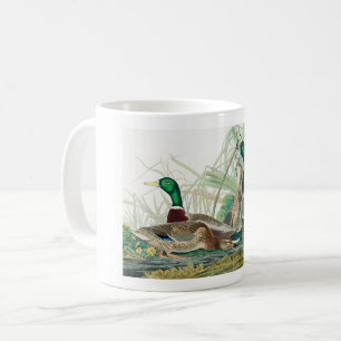 Mug Mallard Duck, 1834, From the Birds of America