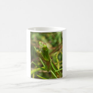 Mug Mante 8482