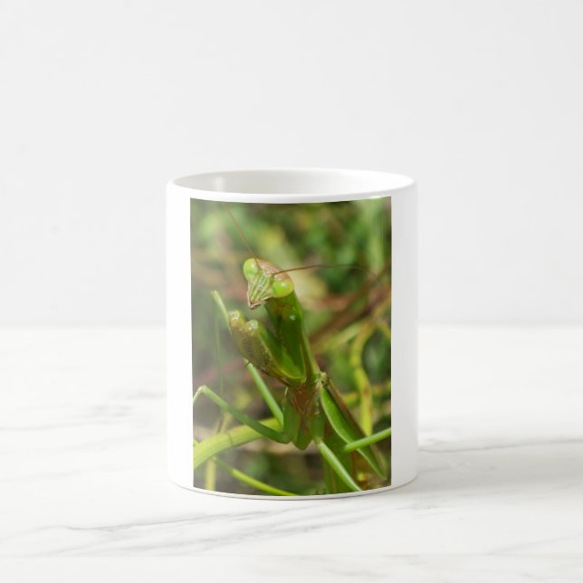 Mug Mante 8482 (Centre)