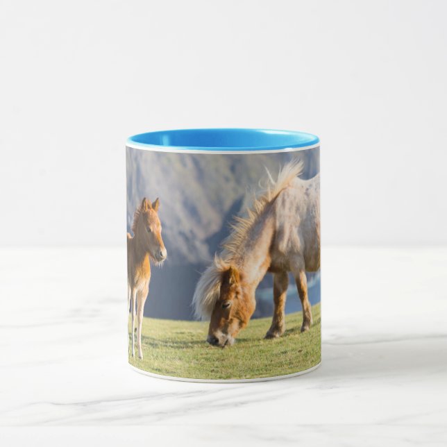 Mug Mare avec Foal, îles Shetland, Ecosse (Centre)