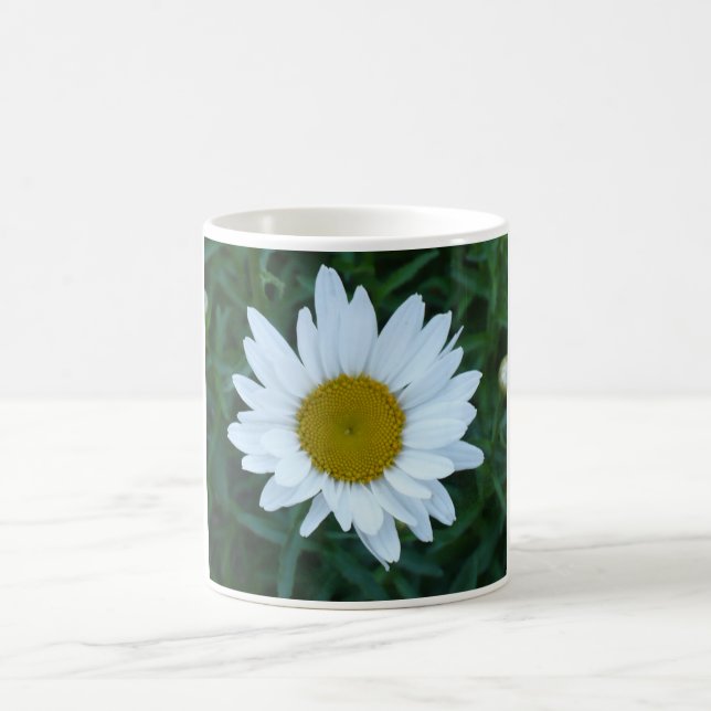 Mug Marguerite de Shasta (Centre)