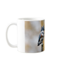 Martin-chasseur à ventre