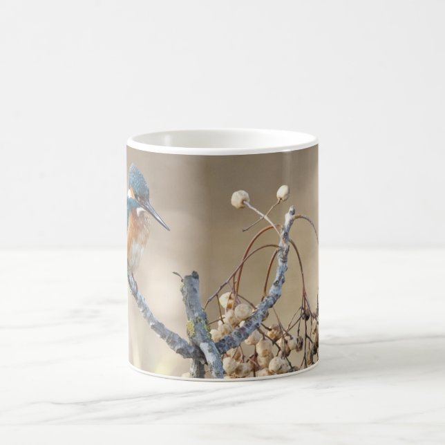 Mug Martin-pêcheur à la réservation de danse (Centre)