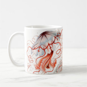 Mug Méduse, Discomedusae par Ernst Haeckel