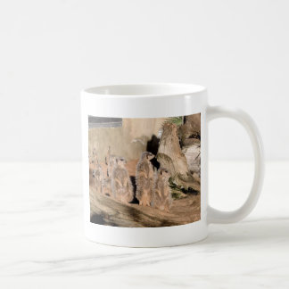 Mug Meerkats