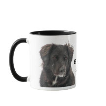 Memorial Black Lab Animaux de compagnie Chien Nom