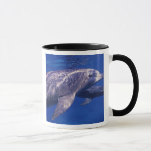 Mug Mexique, Cozumel. Dauphin en bouteille, Tursiops 2