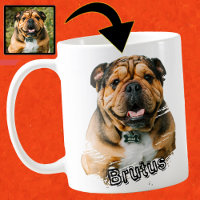 Mignon French Bulldog Photo