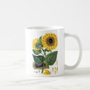 Mug Miller : Tournesol