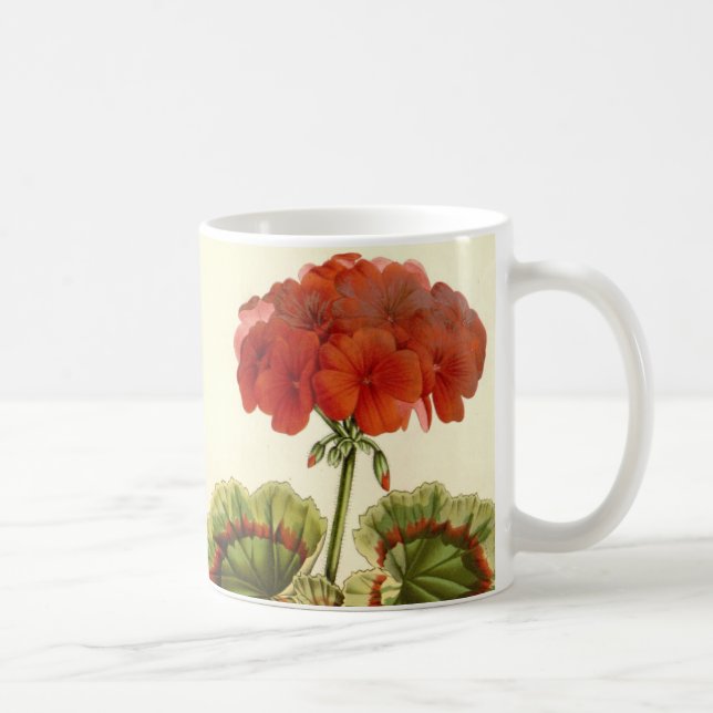 Mug 'Miss Pollack' Zonal Geranium (Droite)