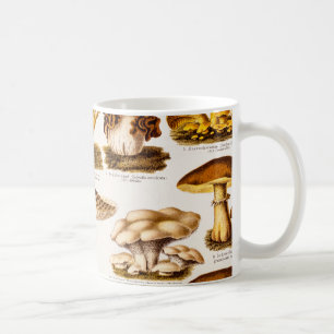 Mug Modèle vintage de variété de champignon de 1800