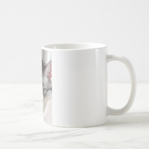 Mug Moira (chat) Photo