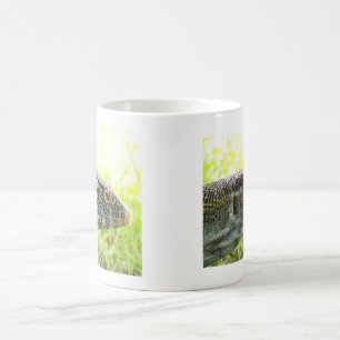 Mug Moniteur du Nil