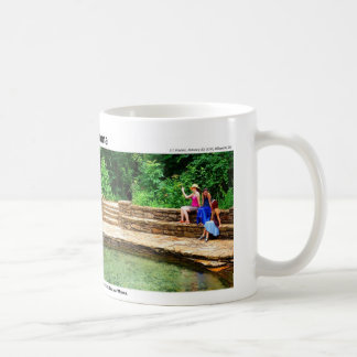 Mug Montagnes d'Arbuckle II - magie d'une cascade,