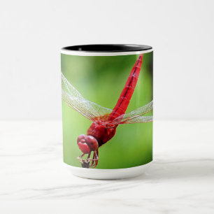 Mug Mouche rouge