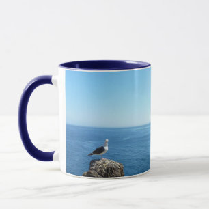 Mug Mouette sur l'île d'Anacapa aux îles Channel