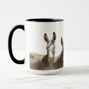 Mug Mug, burros sauvages, ânes, faune, nature