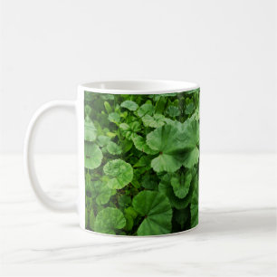 Mug muqueuse