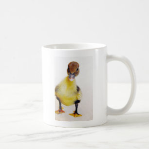 Mug Muscovy Duckling