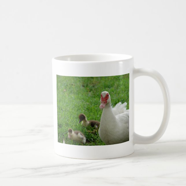 Mug Muscovy Hen Et Canettes (Droite)
