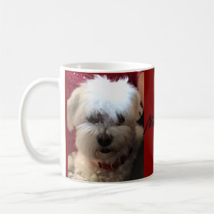 Mug Musique