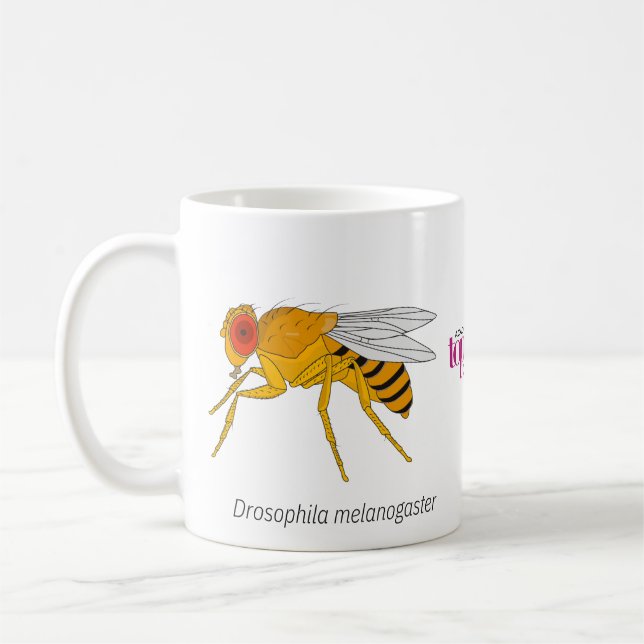 Mug Musique à mouche (Gauche)