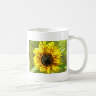 Mug Musique de tournesol