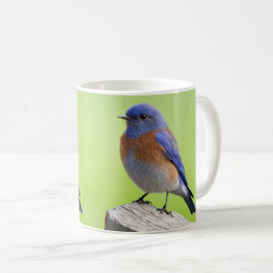 Mug Musique d'oiseau bleu de l'Ouest