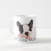 Musiques de Boston Terrier
