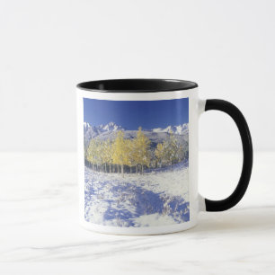 Mug N.A., États-Unis, Colorado, San Juan Mts Neige fr